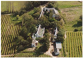 The Estate